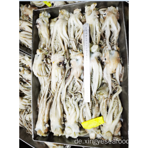 Gefrorener Tintenfisch hinterlassen Tentacles Nototodarus Sloanii 200-300g